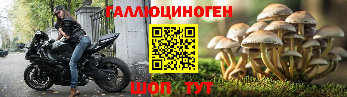 Южно-Сахалинск  Галлюциногенные грибы мицелий  сколько стоит  Вход с VPN 